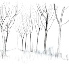 Winter tree sketch