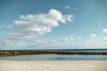Fototapeta premium Coastal Tranquility: Seashore View with Coastline Rocks and Blue Water