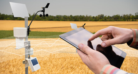 Farmer control weather station via digital tablet. Precision and smart farming equipment	