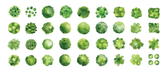 Various green trees, bushes and shrubs, top view for landscape design plan. Vector watercolor illustration, isolated on white background. © Vasily Merkushev