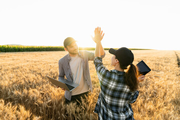 Farmers man and woman with tablet and laptop high five in wheat field at sunset	