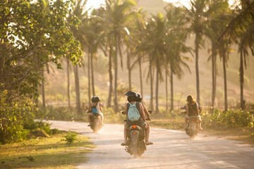 Rear view of tourists riding on the backs of motorcycles through palm trees on a sunny day