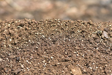 Black land for plant background. Top view. 