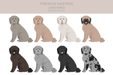 Pyrenean sheepdog, longhaired clipart. Different poses, coat colors set