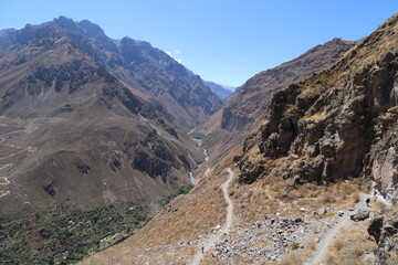 Condors Flying in Peru - Colca Canyon - Flying condor over Colca canyon,Peru,South America. The condor is the biggest flying bird on earth. Colca Canyon: The Second Deepest Canyon in the World.