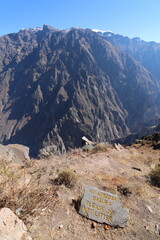 Condors Flying in Peru - Colca Canyon - Flying condor over Colca canyon,Peru,South America. The...