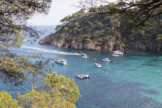 Aigua Blava Bay (Aiguablava), Costa Brava, Catalonia (Spain).