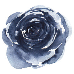 Stylish blue watercolor flower on a transparent background - Watercolor Clipart