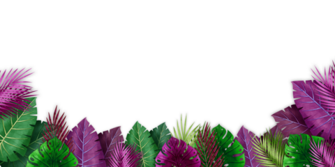 Beautiful colorful Floral leaves bottom side template decoration isolated on transparent background,