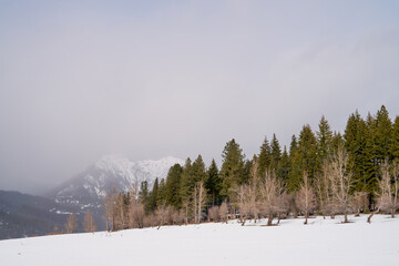 winter landscape in the mountains