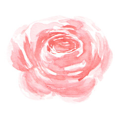 Stylish pink watercolor flower on a transparent background - Watercolor Clipart
