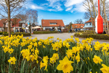 Obraz premium Jeden Donnerstag in Zingst Regionalmarkt.