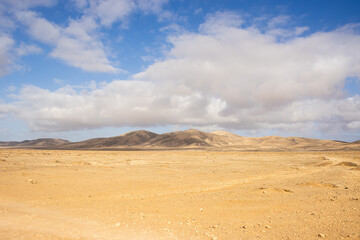 Fototapeta na wymiar The Majesty of the Desert: Mountains and Sky in the Distance