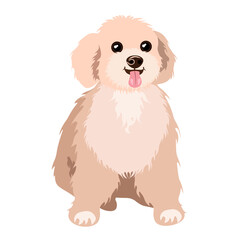 Fluffy charming puppy sitting with his tongue hanging out, isolated on a white background.Vector illustration of a dog.