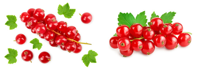 Red currant berry isolated on white background. Top view. Flat lay pattern