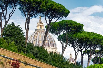 Fototapeta na wymiar Saint Peter Basilica roof in Vatican, Rome, Italy between trees