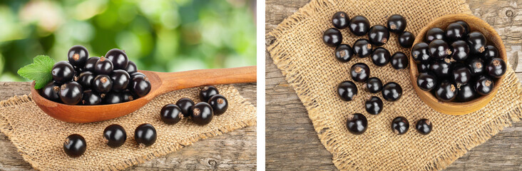 Black currants in a spoon on the wooden table with sackcloth and blurred green background
