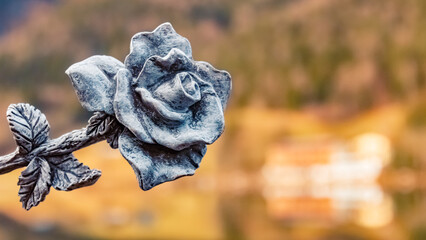 Details of a stone rose with reflections at Lake Hintersee, Ramsau, Berchtesgaden, Bavaria, Germany