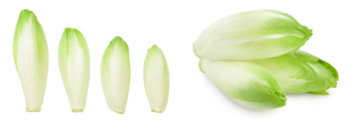 Chicory salad isolated on white background with full depth of field. Top view. Flat lay