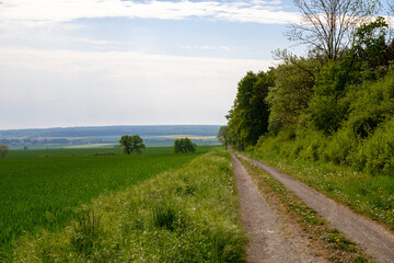 Landscape shot of fields and cloudy sky