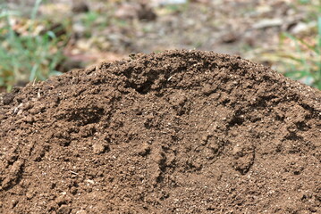 Black land for plant background. Top view. 