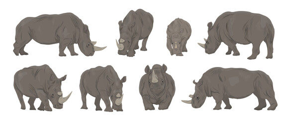 A set of African white rhinos in different poses. White rhinos and their cubs. Realistic vector animal