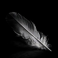 Capture the beauty of simplicity with a black and white photograph of a delicate white feather. Witness the elegance of monochrome art.