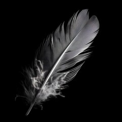 Capture the beauty of simplicity with a black and white photograph of a delicate white feather. Witness the elegance of monochrome art.