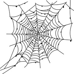 Scary spider web isolated. Spooky Halloween decoration. Outline cobweb illustration