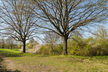 Fototapeta premium Hannover Bemerode