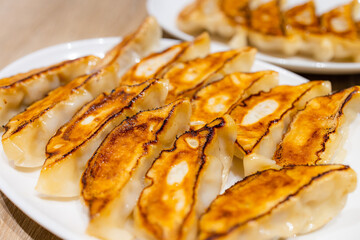 Japanese pan fried dumpling in restaurant