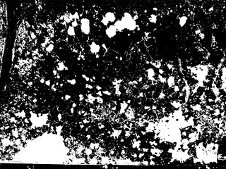 Rusty grunge texture. Aggressive damaged surface. Black white background.