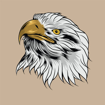 vector eagle head illustration suitable for branding needs and so on