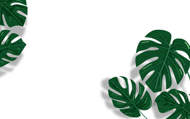 Monstera tropical leaves with copyspace
