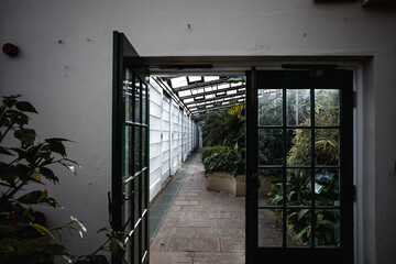 Sheffield botanical gardens greenhouse