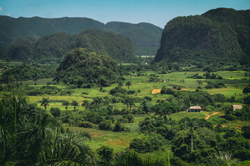 Fototapeta na wymiar Cuba verde