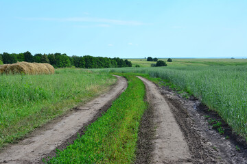 Fototapeta na wymiar A dirt road in a field with a green grass, haystack and trees on horizon