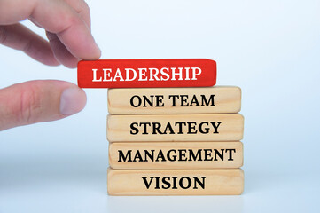 Hand holding red wooden block with text - leadership, one team, strategy, management and vision text. Business and leadership concept