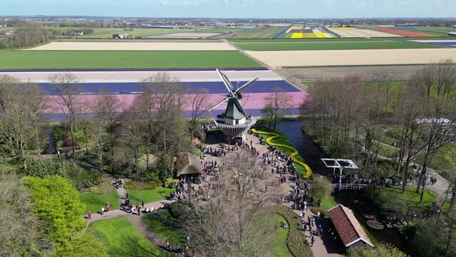 Aerial shot of a windmill in Keukenhof flower garden, Netherlands