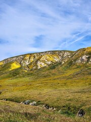 Landscape of colorful yellow, purple, and orange wildflowers covering the hills of Carrizo Plain National Monument, April 2023