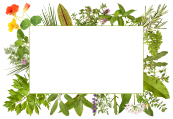 Blank label framed by herbs, transparent background