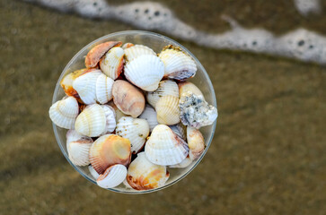 Beautiful seashells in a glass goblet on a background of sand on the seashore. view from above