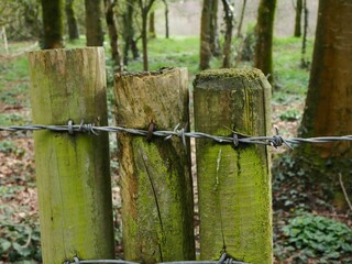 Wooden posts surrounded by a barbed wire fence is illuminated by the afternoon sun