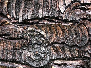 Rustic wooden background featuring intricately detailed lines.