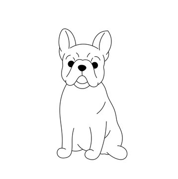 Vector isolated one single sitting french bulldog dog puppy front view colorless black and white contour line easy drawing