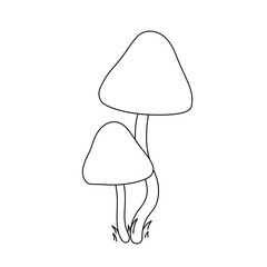 Vector isolated two pair copule mushrooms toadstools colorless black and white contour line easy drawing