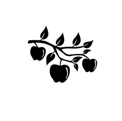 three apples branch silhouette vector illustration