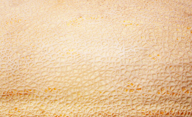 Ripe sweet melon fruit texture background. Close up of a ripe fresh melon fruit pattern texture. Yellow melon texture backdrop. Melon seamless texture