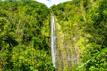 The stunning Waimoku Falls at the end of the Pipiwai Trail, Kīpahulu District, Haleakala National Park, Maui, Hawaii, USA