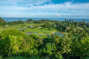 Gorgeous tropical rural landscapes with dense rainforests, waterfalls, rivers along the road to Hana, Mauie, Hawaii, USA